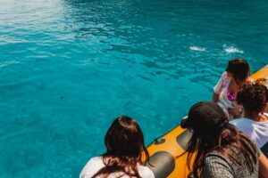 From Can Picafort: Dolphin Watching and Cave Boat Trip - The Itinerary, Broken Into Real Stops (and What Matters at Each One)