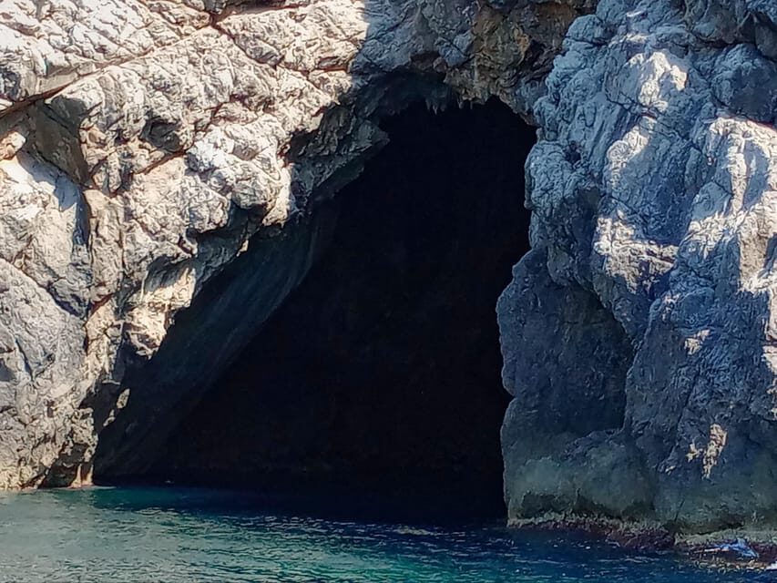 From Can Picafort: Dolphin Watching and Cave Boat Trip - Sunrise Option: When Early Starts Pay Off