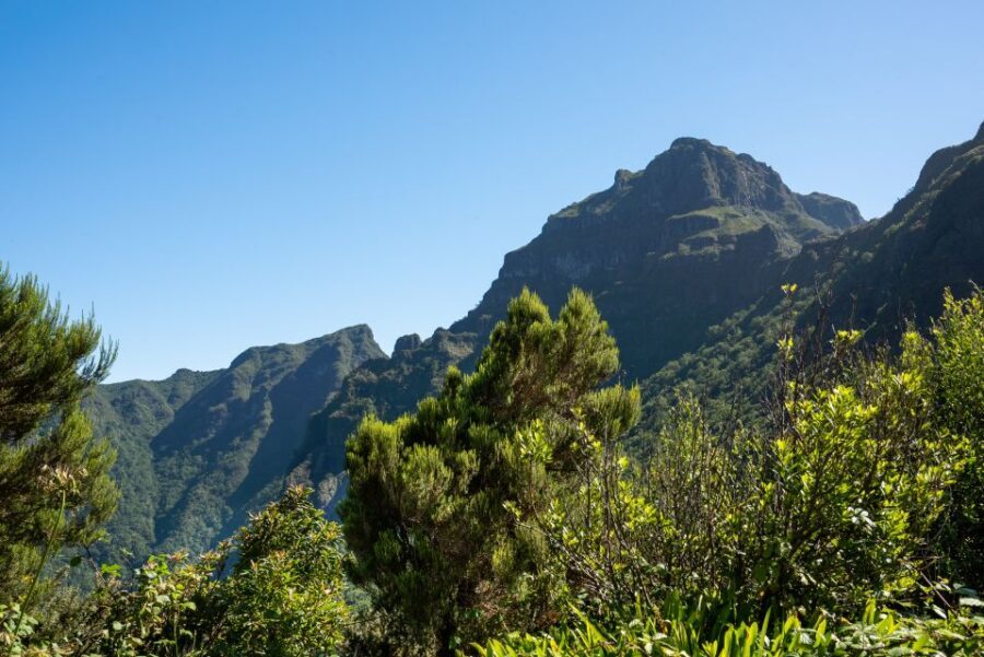 From Funchal: Best of Madeira's West Tour - Porto Moniz: lunch hour plus volcanic sea pools
