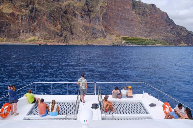 From Funchal: Ecological Catamaran Dolphin Whale Watching - Key things that make this Madeira whale watching special