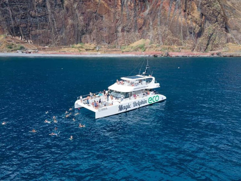 From Funchal: Ecological Catamaran Dolphin Whale Watching - Cabo Girão swim and the iconic south-coast return views