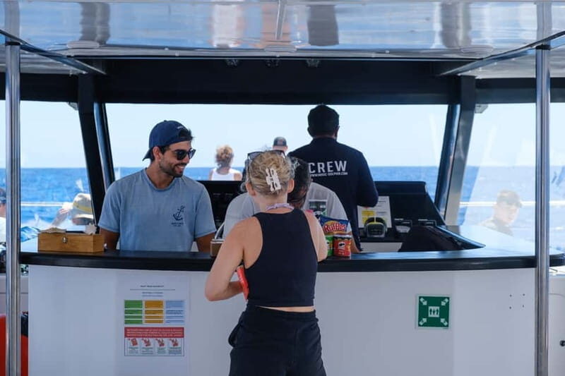 From Funchal: Ecological Catamaran Dolphin Whale Watching - How much is it really worth at about $40 per person