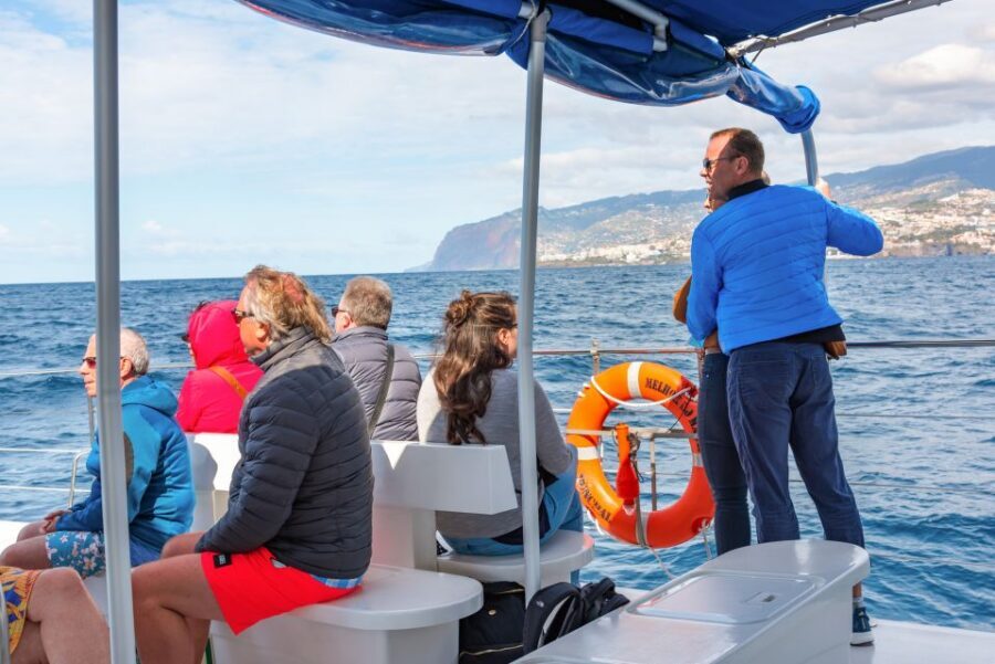 From Funchal: Madeira Dolphin and Whale Watching Tour - The south-coast cruise: where spotting really happens