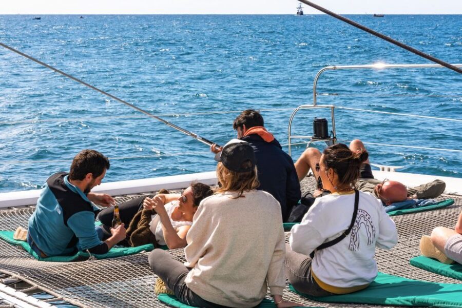 From Funchal: Madeira Dolphin and Whale Watching Tour - Wildlife viewing expectations: dolphins are common, whales are the wildcard