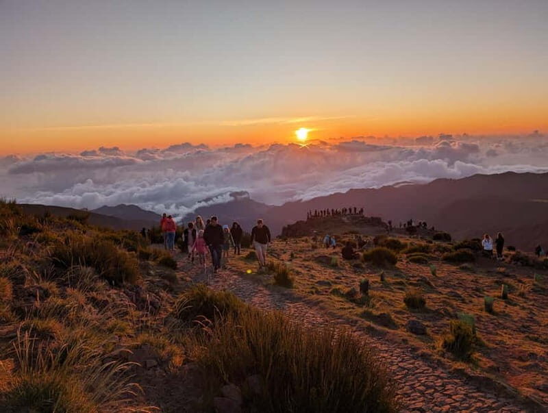 From Funchal: Pico Arieiro Sunrise with Optional Breakfast - Paradise Valley levada walk: Easy footing, forest views, and time to breathe