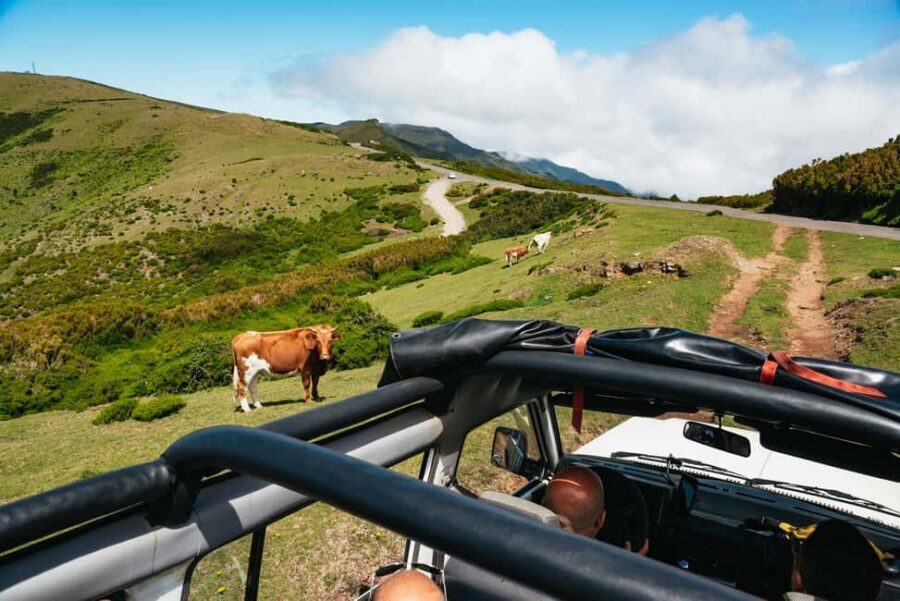 From Funchal: Porto Moniz and Seixal Day Tour by Jeep - Seixal and São Vicente: When the West Feels Personal