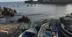 From Funchal: West Madeira and Laurel Forest Day Trip - Pickup in Funchal: the day starts early and moves fast