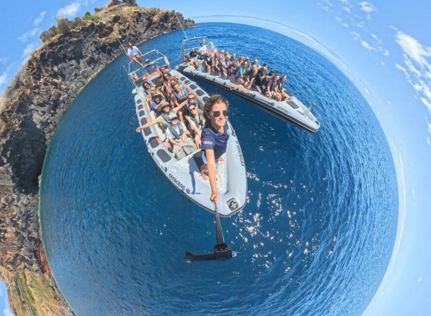 From Funchal: Whale and Dolphin Watching - Swimming with dolphins: the fun part, the wet part