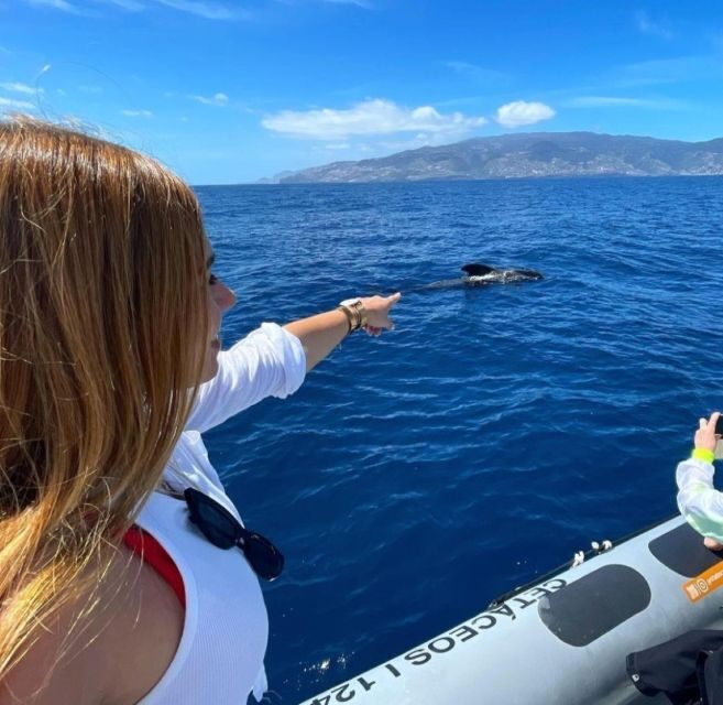 From Funchal: Whale and Dolphin Watching - Getting to Store 35 at Galerias de São Lourenço (without wasting time)