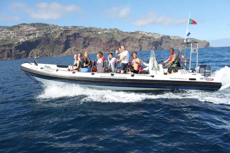 From Funchal: Whales and Dolphin Adventure Tour - Key takeaways before you go