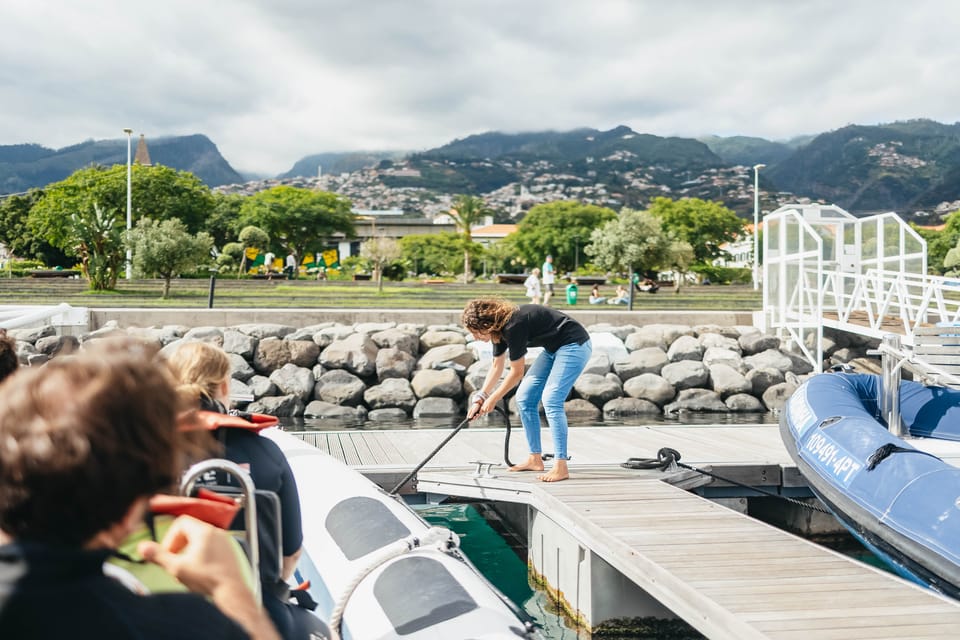 From Funchal: Whales and Dolphin Adventure Tour - Two hours of scanning: what the cruise feels like offshore