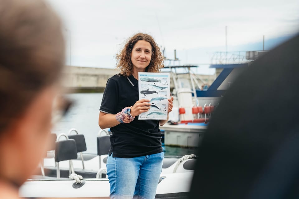 From Funchal: Whales and Dolphin Adventure Tour - What to bring so you don’t spend the return ride thinking about your towel
