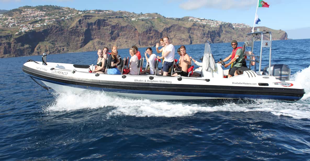 From Funchal: Whales and Dolphin Adventure Tour - Getting to the boat at Blue Safari Madeira (new marina, door 4)