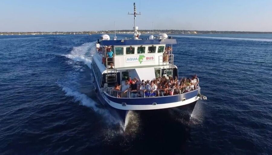 From Ibiza: Same-Day 2-Way Ferry Ticket to Formentera - Arriving at La Savina: Your Launchpad on Formentera