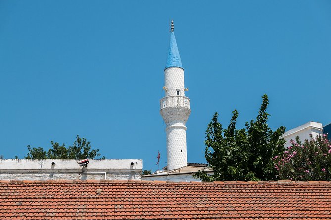 From Kos: Independent Day Trip to Bodrum - The Border Check Reality (Greece Side to Turkey Side)