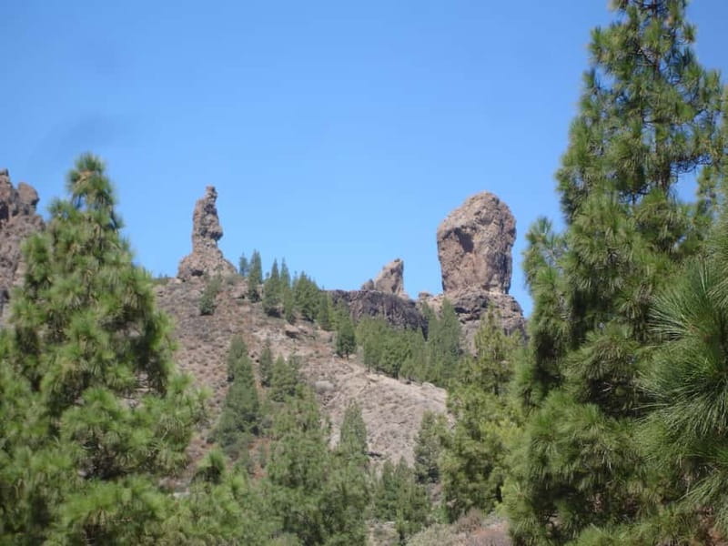 From Palmas: Pico de las Nieves & Roque Nublo Full-Day Trip - From Las Palmas to the Peaks: Why This Route Works