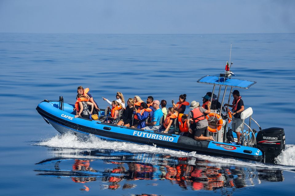 From Ponta Delgada: Whale and Dolphin Watching Trip - The 15-minute harbor briefing that shapes the whole trip