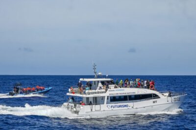 From Ponta Delgada: Whale and Dolphin Watching Trip - Catamaran vs Zodiac: Pick the boat that matches your body and your vibe