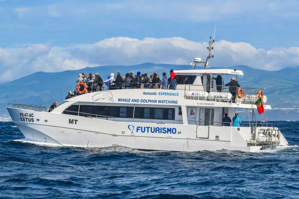 From Ponta Delgada: Whale and Dolphin Watching Trip - How the biologist turns sightings into understanding