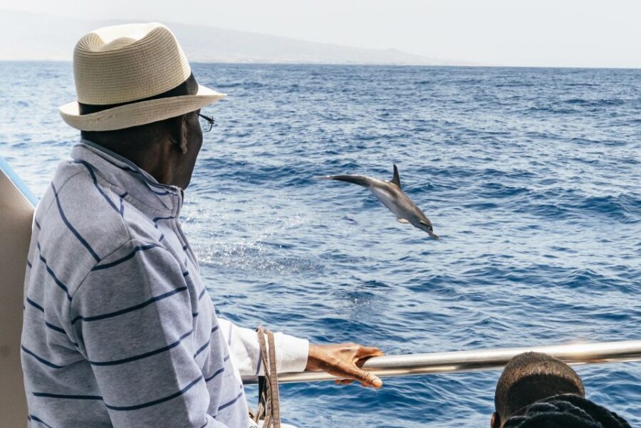 From Puerto Rico de Gran Canaria: Dolphin Watching Cruise - Price and Value: Is $47 Really Fair for 2.5 Hours at Sea?