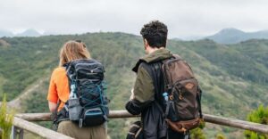 From South Tenerife: La Gomera Island Day Trip with Lunch - The El Cedro Forest to Garajonay National Park: Where the Island Feels Misty and Alive