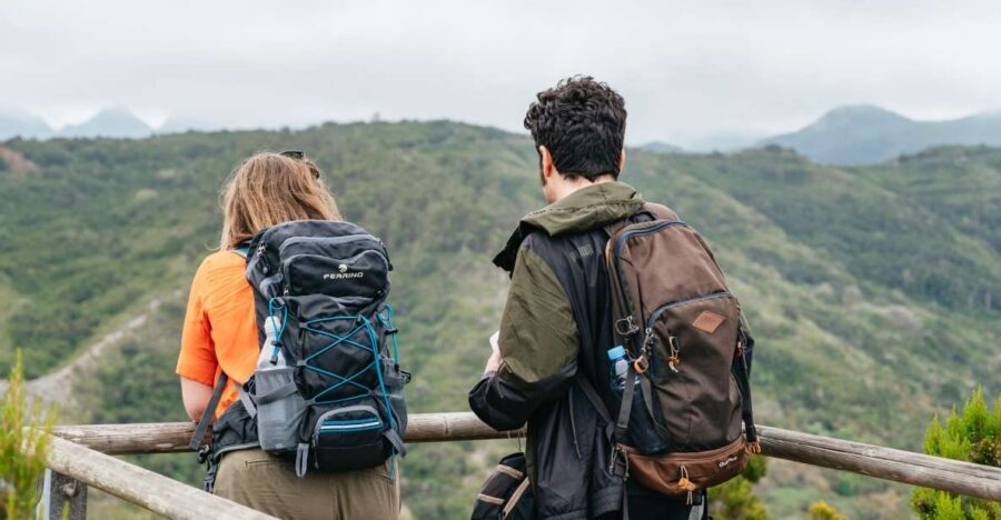 From South Tenerife: La Gomera Island Day Trip with Lunch - The El Cedro Forest to Garajonay National Park: Where the Island Feels Misty and Alive
