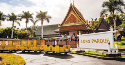 From South Tenerife: Loro Park Zoo Ticket & Hotel Transfers - Getting into Loro Parque: what “skip the ticket line” really means