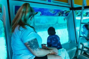 Fuerteventura: Glass Bottom Boat Cruise with Lunch & Drinks - Getting There From South Fuerteventura Without Losing Half Your Day