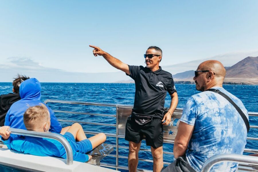 Fuerteventura: Glass Bottom Boat Cruise with Lunch & Drinks - Price and Value: Is $88 Worth It for 4 Hours?