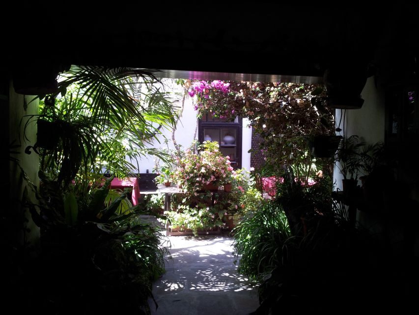 Fuerteventura: Island Tour by Minibus - Who this tour suits (and who should skip it)