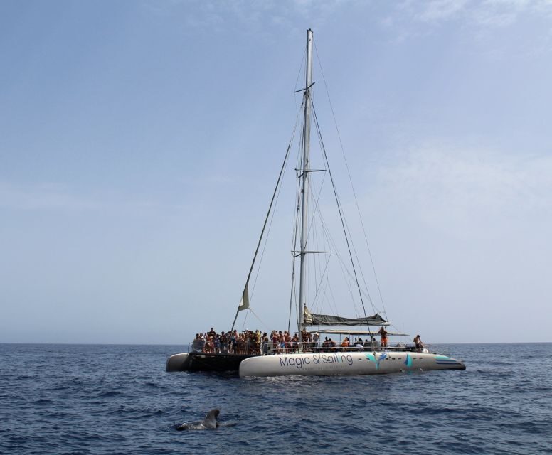 Fuerteventura: Magic Catamaran Trip with Food and Drinks - The Ride Back: Sailing Time and Coastline Views