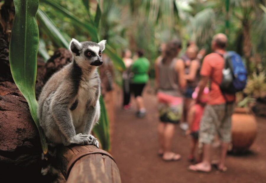 Fuerteventura: Oasis Wildlife Entry Ticket - Food inside the park: where a lunch stop becomes part of the experience