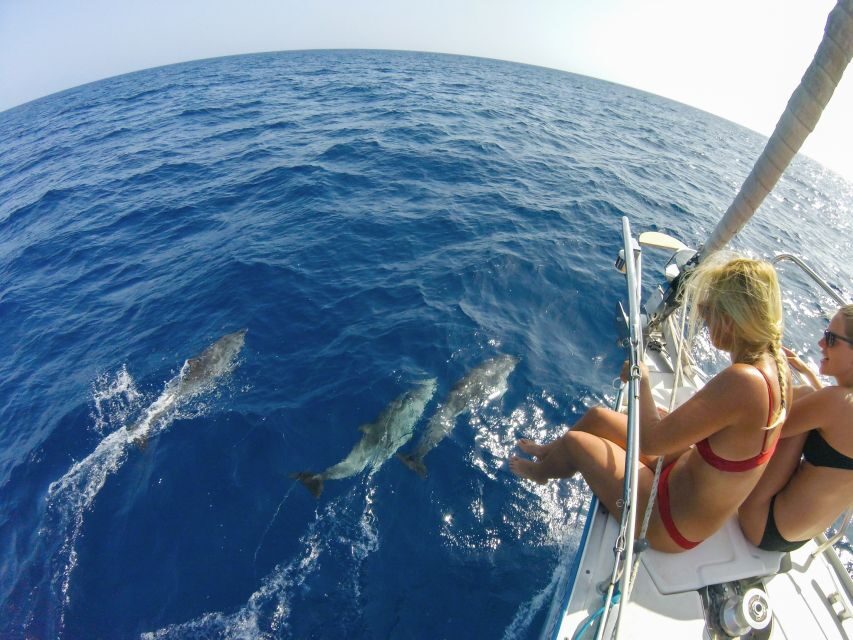 Fuerteventura: Sailing with Snorkeling and Dolphin Watching - Price and value: is $104 worth it?