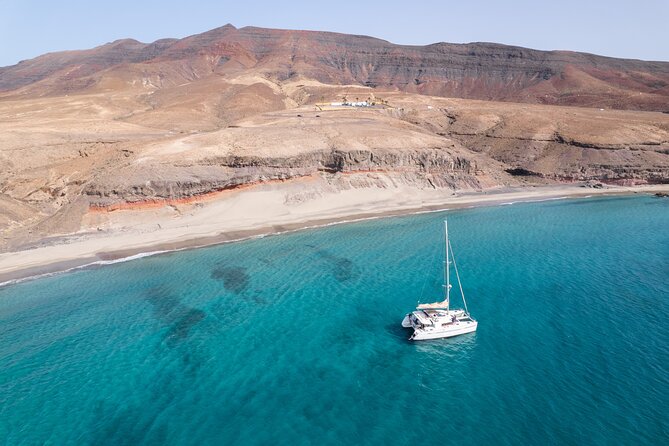 Fuerteventura: Small-Group Magic Deluxe Catamaran Cruise - Price and logistics: how to keep it smooth from the start
