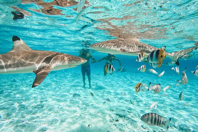 Full Day Lagoon Group Tour in Bora Bora with Lunch - What the 6-hour day feels like on the water