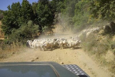 Full-Day Land Rover Safari from Heraklion with Lunch - Aposelemis Basin Reservoir and Roman Aqueduct Facts Along the Way