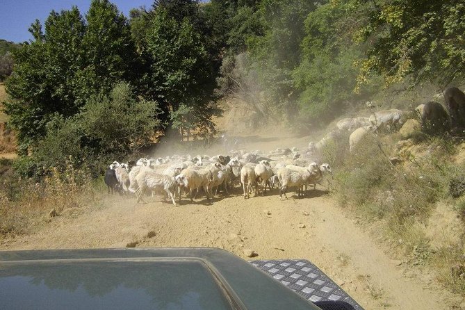 Full-Day Land Rover Safari from Heraklion with Lunch - Aposelemis Basin Reservoir and Roman Aqueduct Facts Along the Way