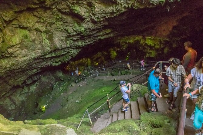 Full-Day Small-Group Tour in Crete with Zeus Cave Visit - Potamies farm stop: where the day turns from sightseeing into daily life