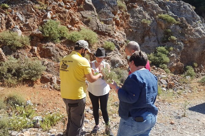 Full-Day Small-Group Tour in Crete with Zeus Cave Visit - Ano Kera and Ebassas gorge dirt roads: the part you’ll feel in your legs