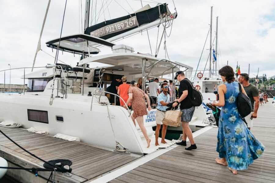 Funchal Bay: Dolphin & Whale Watch Luxury Catamaran Cruise - Luxury catamaran comfort on Funchal Bay