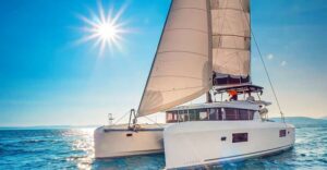 Funchal Bay: Dolphin & Whale Watch Luxury Catamaran Cruise - Dolphin and whale watching without the guarantee stress