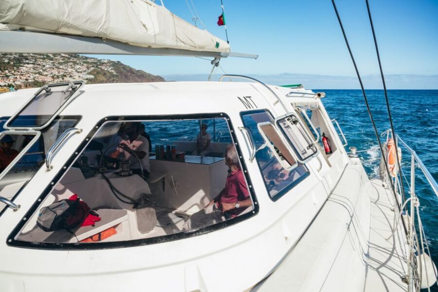 Funchal: Dolphin and Whale Watching by Luxury Catamaran - Setting Sail From Funchal Marina (Pier 8, Not the Old Office)