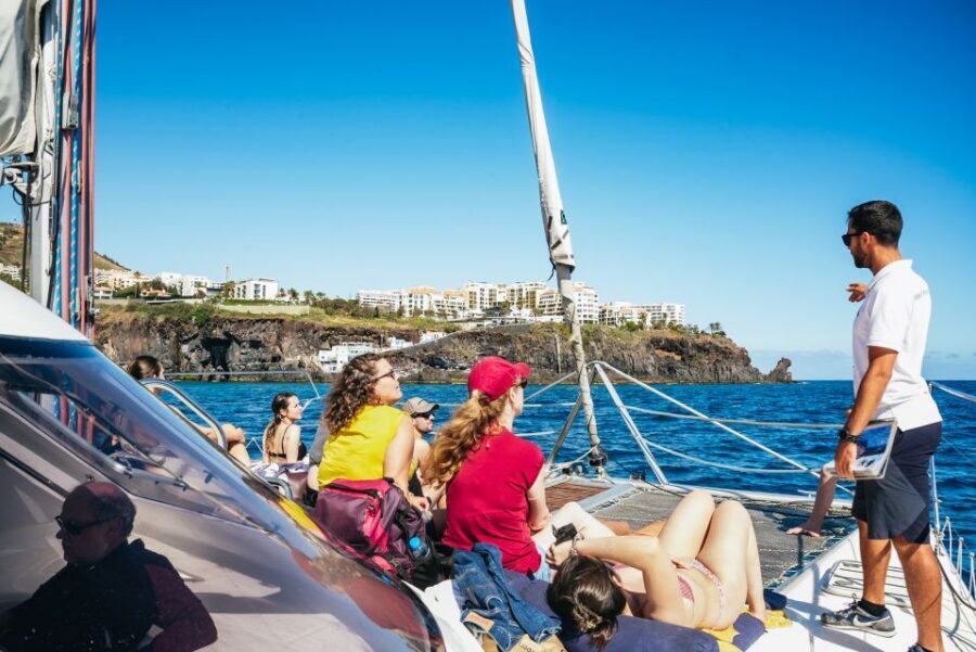 Funchal: Dolphin and Whale Watching by Luxury Catamaran - Should You Book Funchal Dolphin and Whale Watching by Luxury Catamaran?