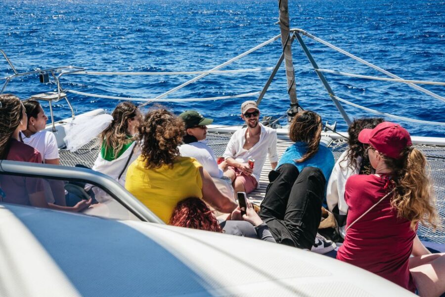Funchal: Dolphin and Whale Watching by Luxury Catamaran - What the Sail and Stops Feel Like (Time on the Water, Then Anchor and Float)