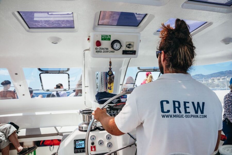 Funchal: Dolphin and Whale Watching by Luxury Catamaran - The Swim Stop at Cabo GirĂŁo: Summer Fun With a Real Schedule Catch