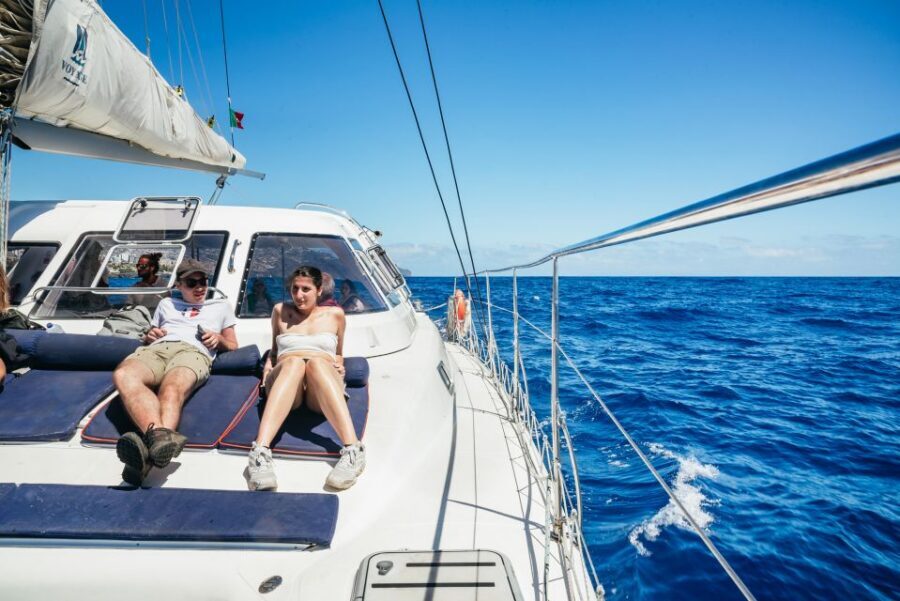Funchal: Dolphin and Whale Watching by Luxury Catamaran - Price and Value: Why $47 Can Make Sense for a Luxury Catamaran Day