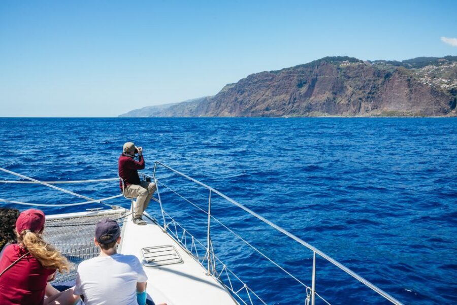Funchal: Dolphin and Whale Watching by Luxury Catamaran - Language, Group Feel, and Who This Tour Fits Best