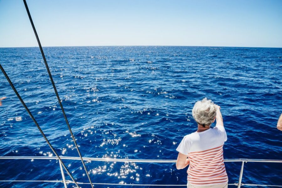 Funchal: Dolphin and Whale Watching by Luxury Catamaran - Cabo Girão: Why This Sea Cliff Is the Real Star Even Before Wildlife