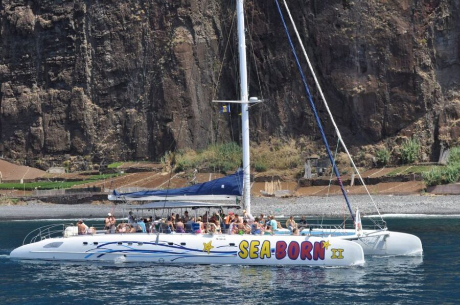 Funchal: Dolphin and Whale Watching Catamaran Cruise - Cabo Girão: Crystal-Clear Viewing and the Swim Stop Decision