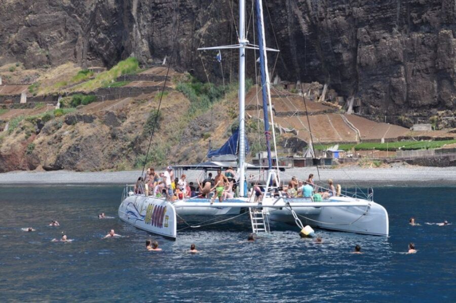 Funchal: Dolphin and Whale Watching Catamaran Cruise - What the Crew Does That Makes or Breaks the Trip